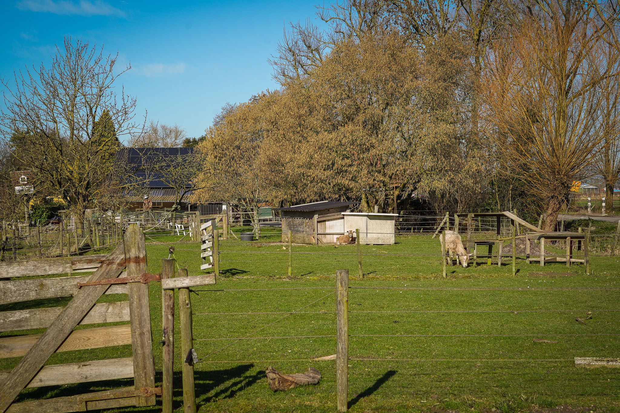 Foto 9 van Bommelweg 1