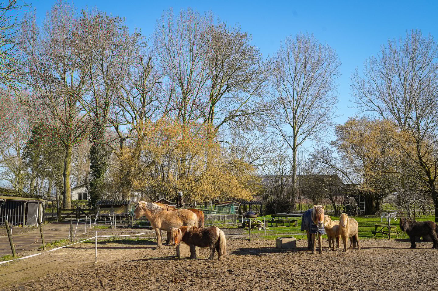 Foto 10 van Bommelweg 1