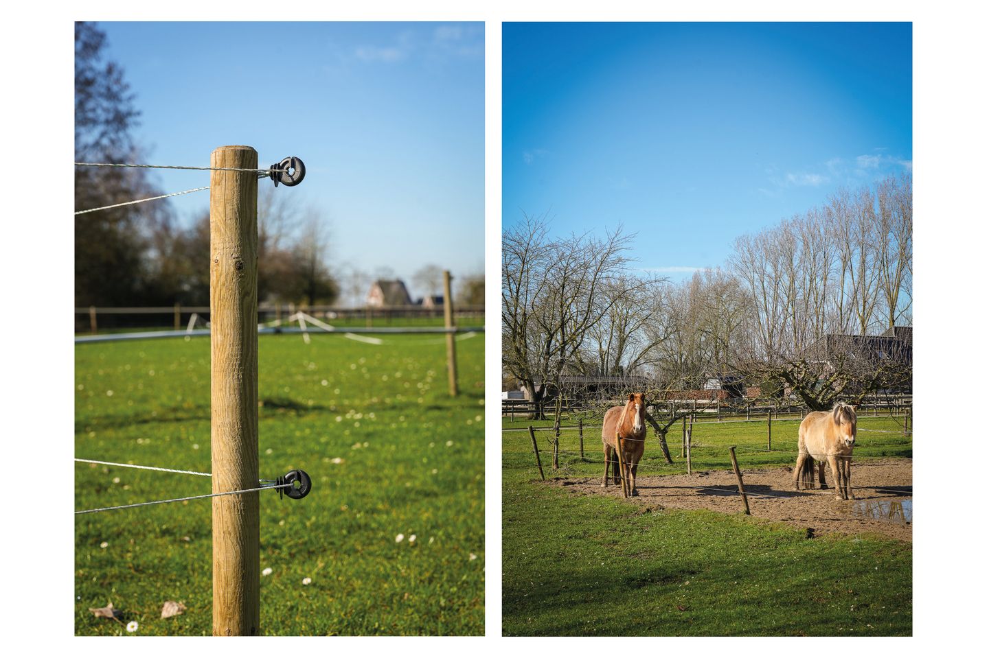 Foto 35 van Bommelweg 1