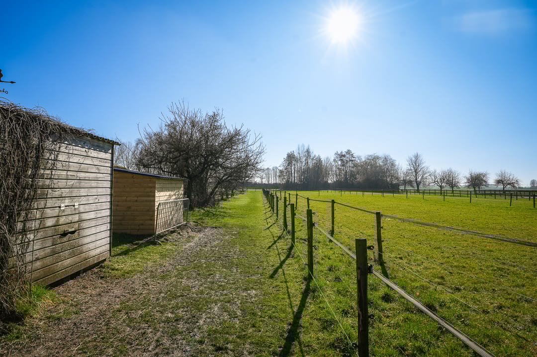 Foto 38 van Bommelweg 1