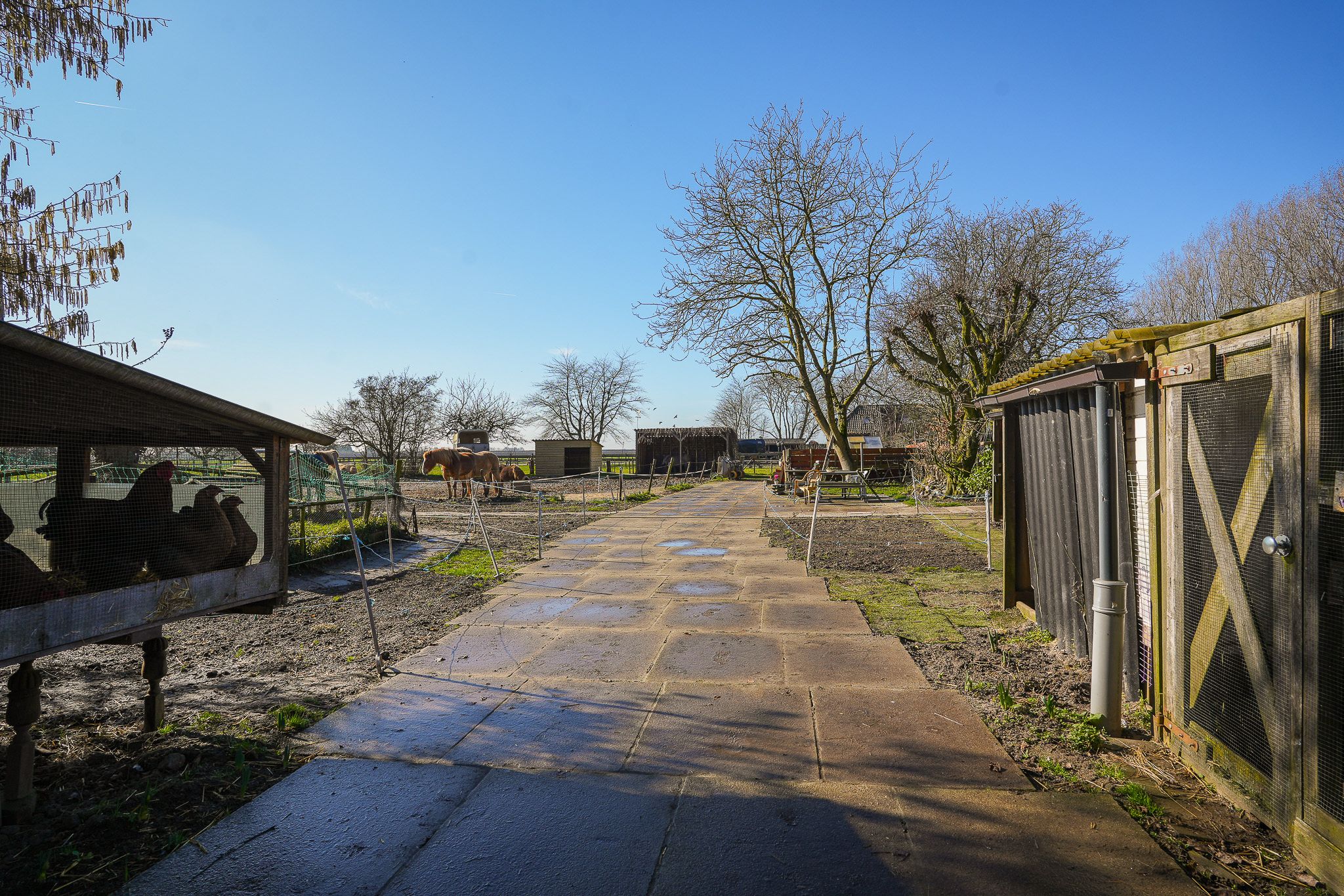 Foto 42 van Bommelweg 1