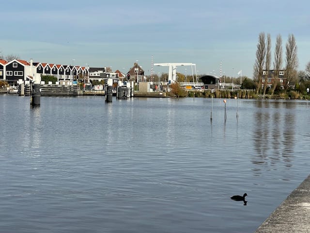 Photo 18 of Spaarnebuiten ligplaats 15