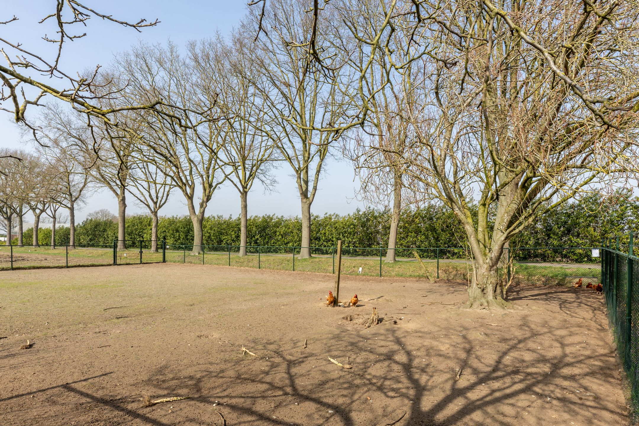 Photo 42 of Loosbergstraat 13