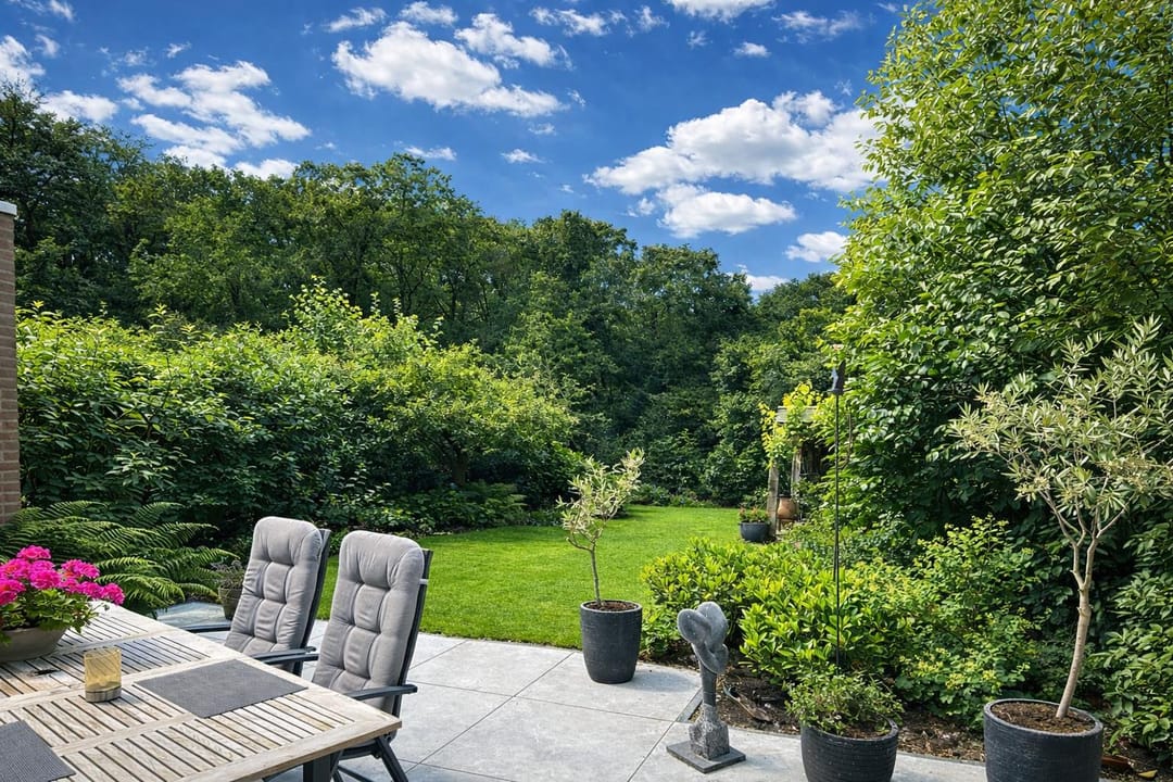 Photo 28 of Apollovlinder 10