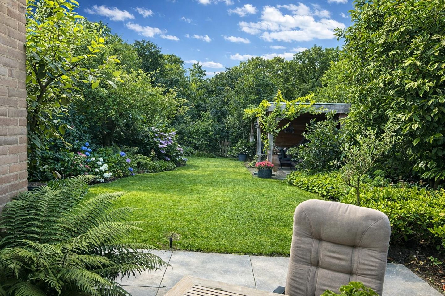 Photo 29 of Apollovlinder 10