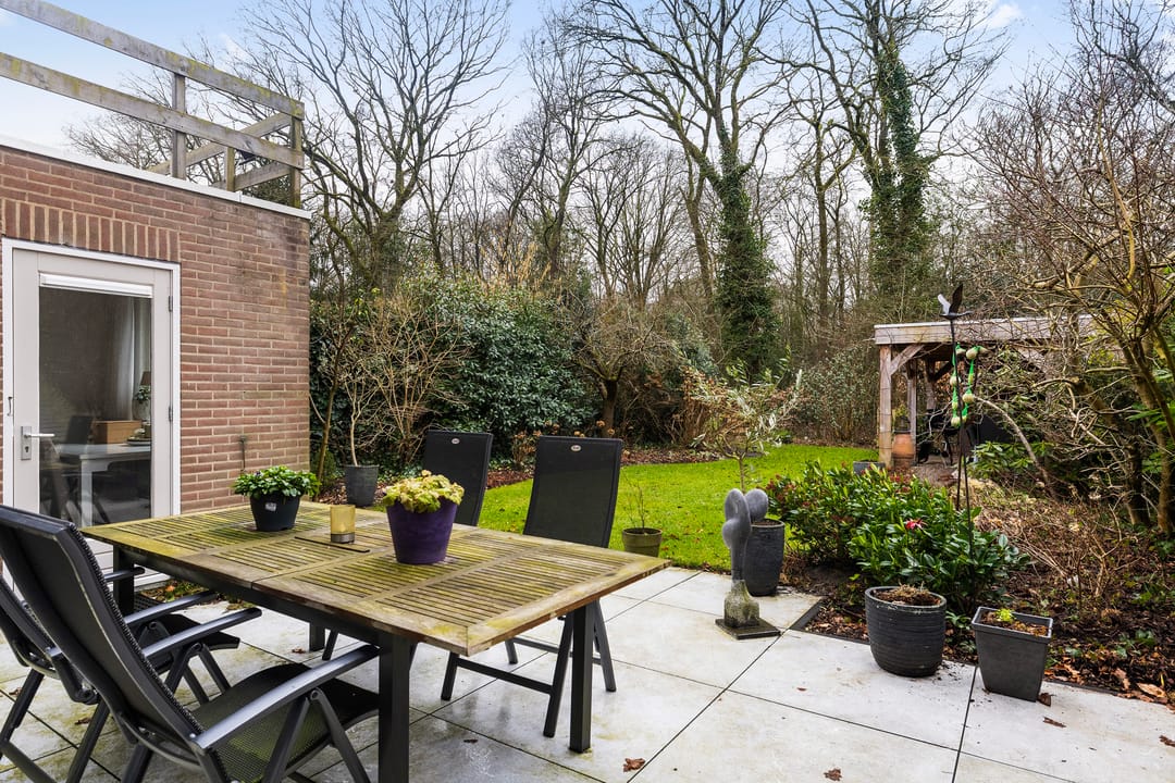 Photo 32 of Apollovlinder 10