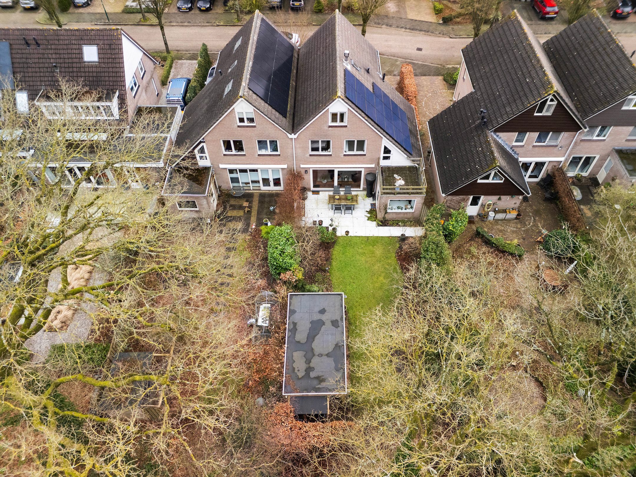 Photo 39 of Apollovlinder 10