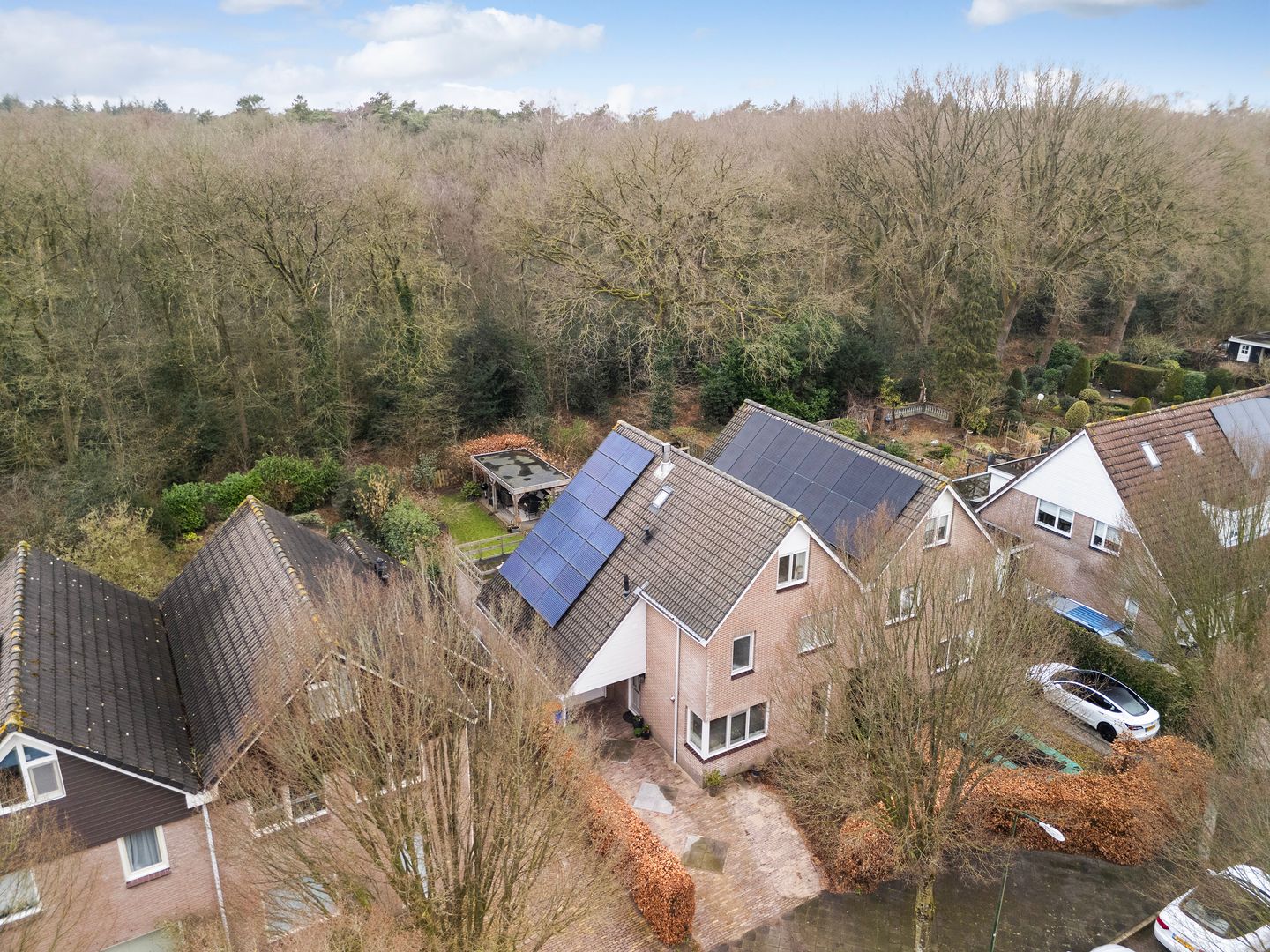 Photo 40 of Apollovlinder 10