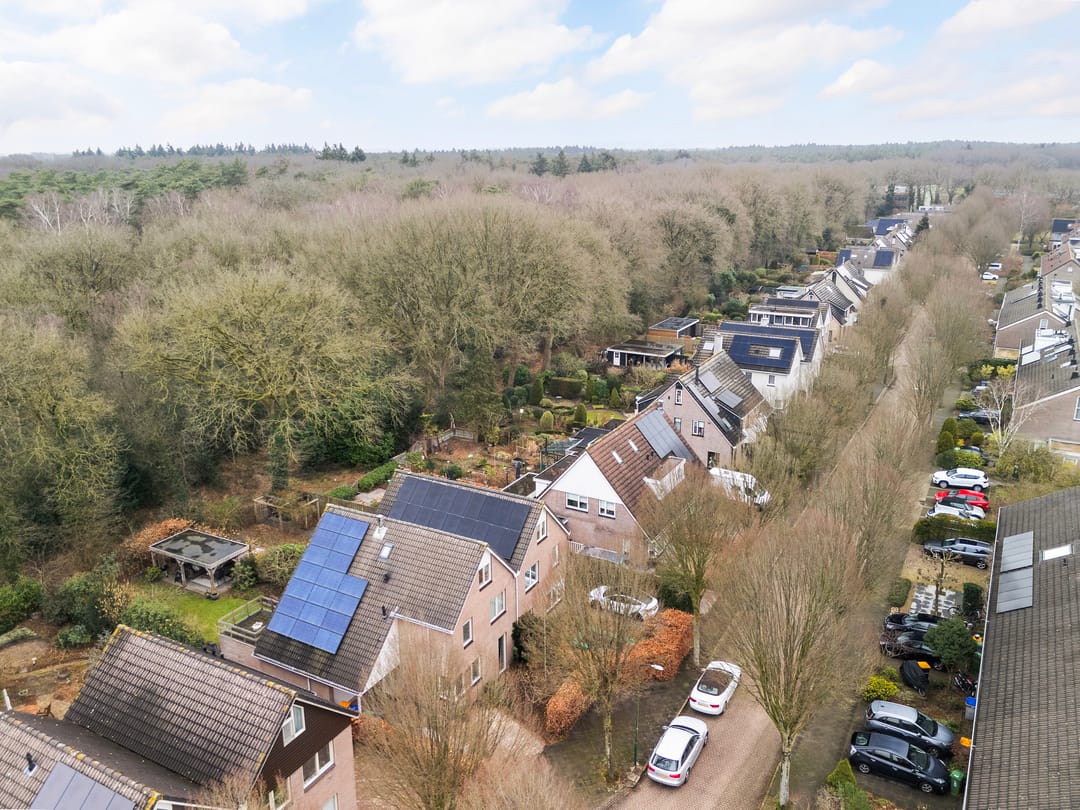 Photo 41 of Apollovlinder 10