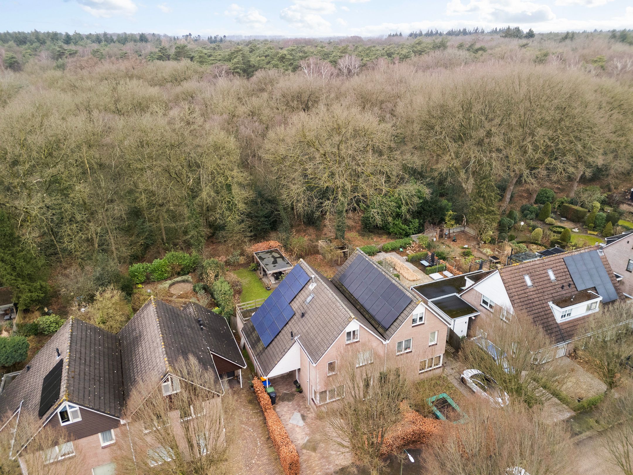 Photo 42 of Apollovlinder 10