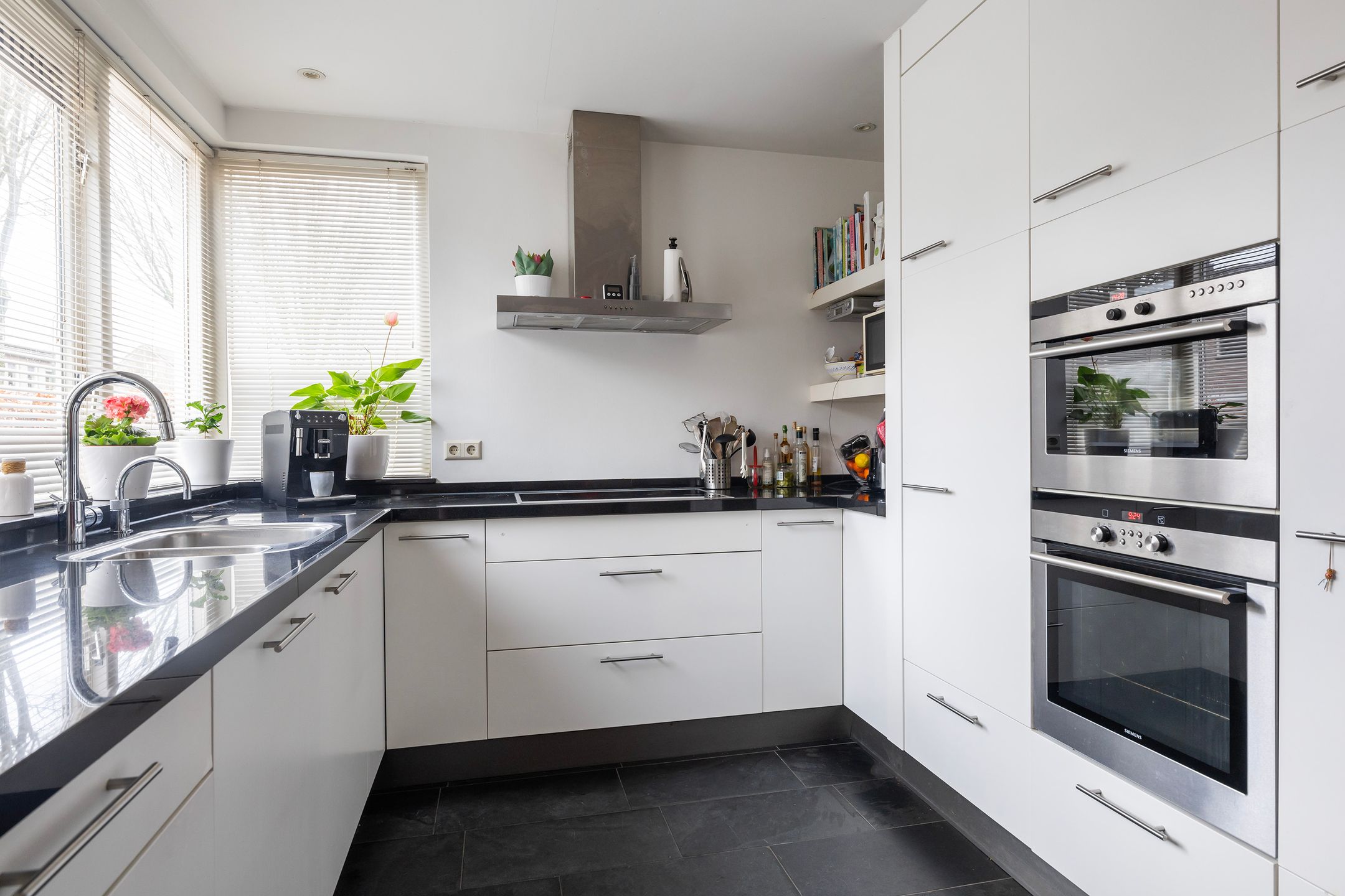 Photo 15 of Apollovlinder 10