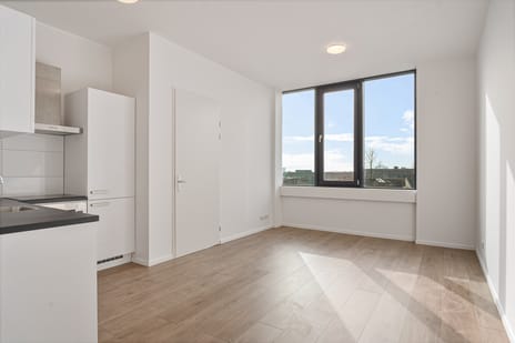 Fascinatio Boulevard thumbnail