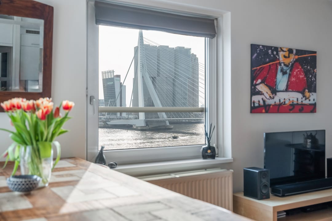 Foto 2 van Boompjes 576