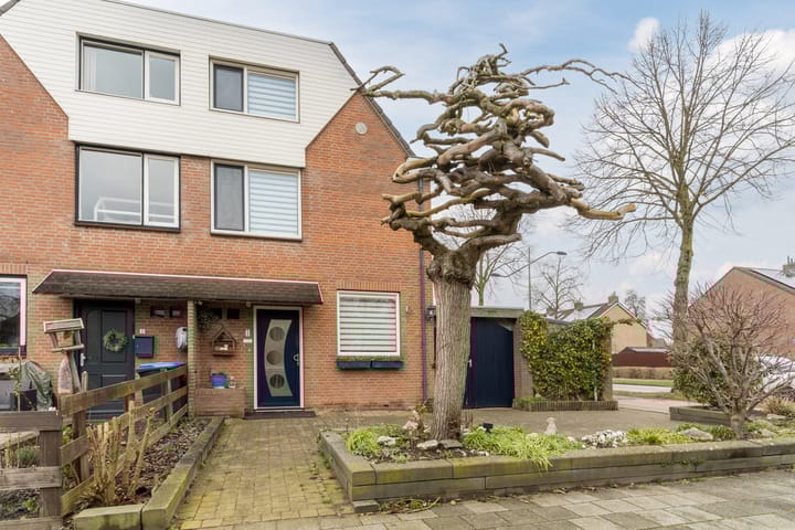 Photo 4 of Honingklaver 1