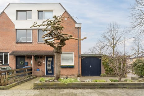 Honingklaver thumbnail