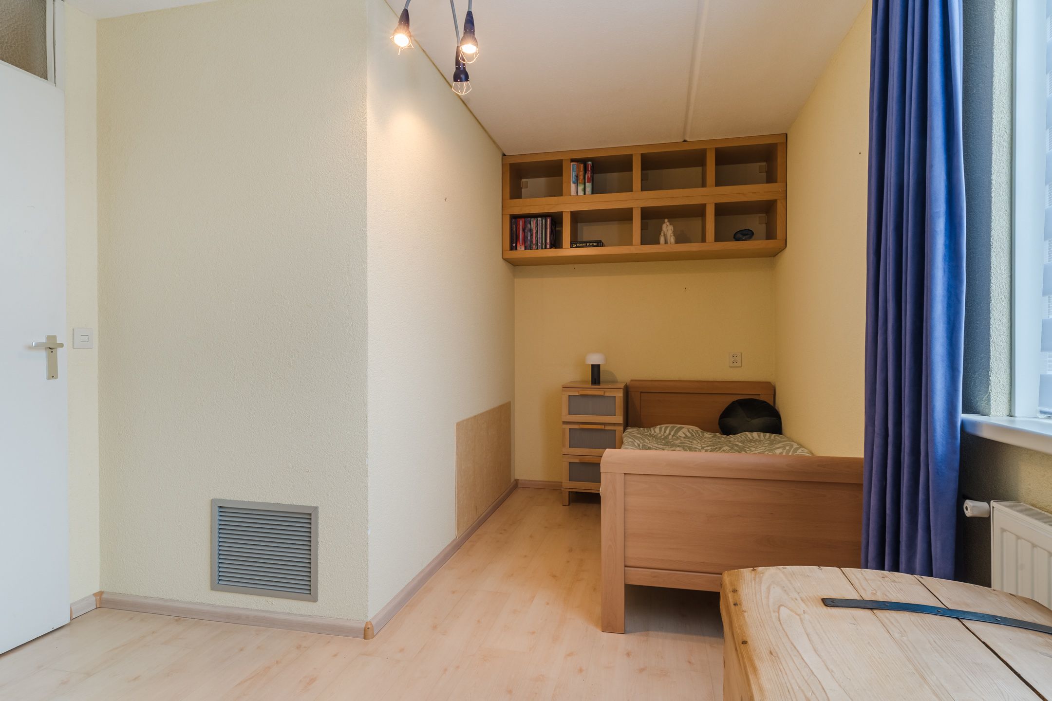 Photo 18 of Honingklaver 1