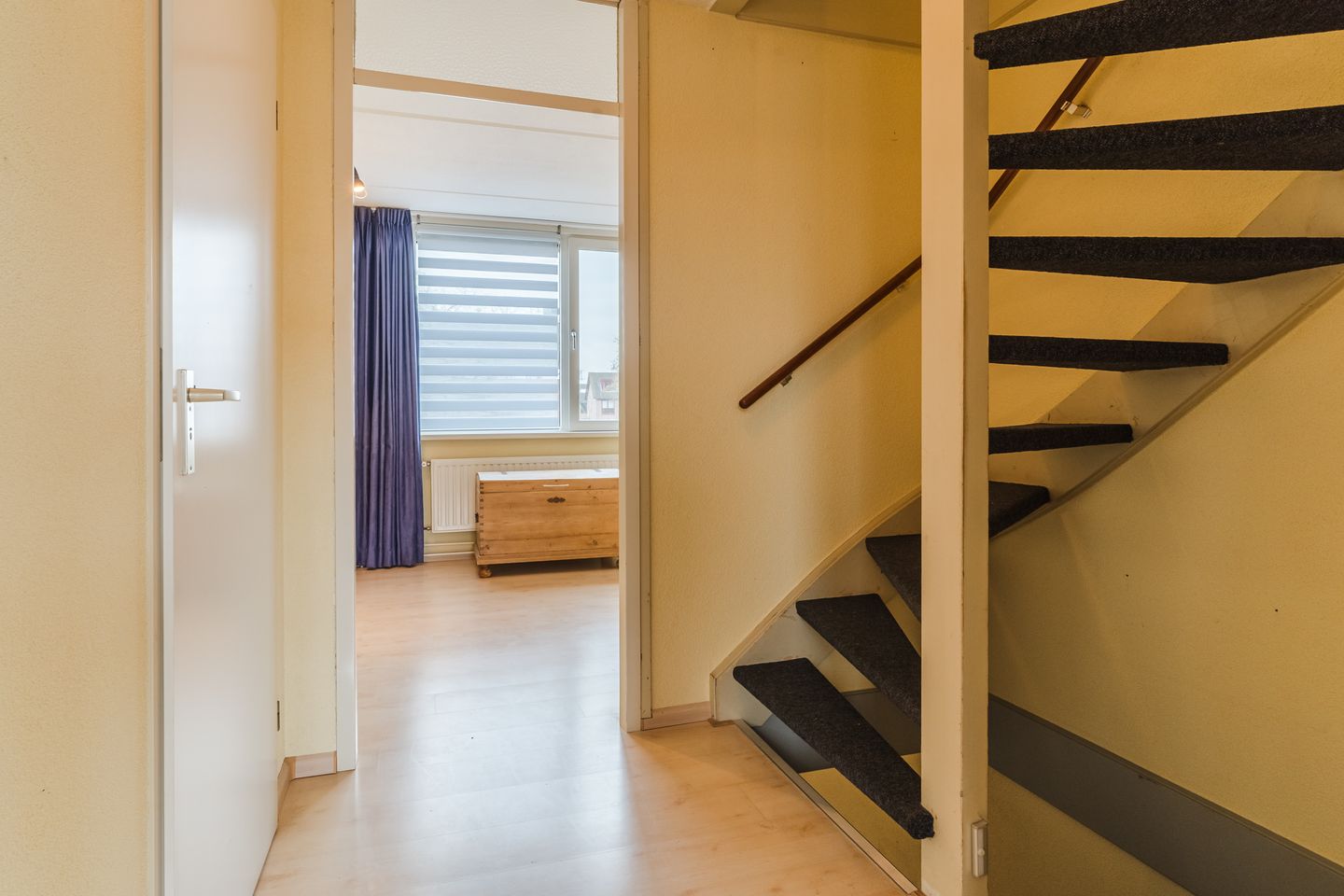 Photo 20 of Honingklaver 1