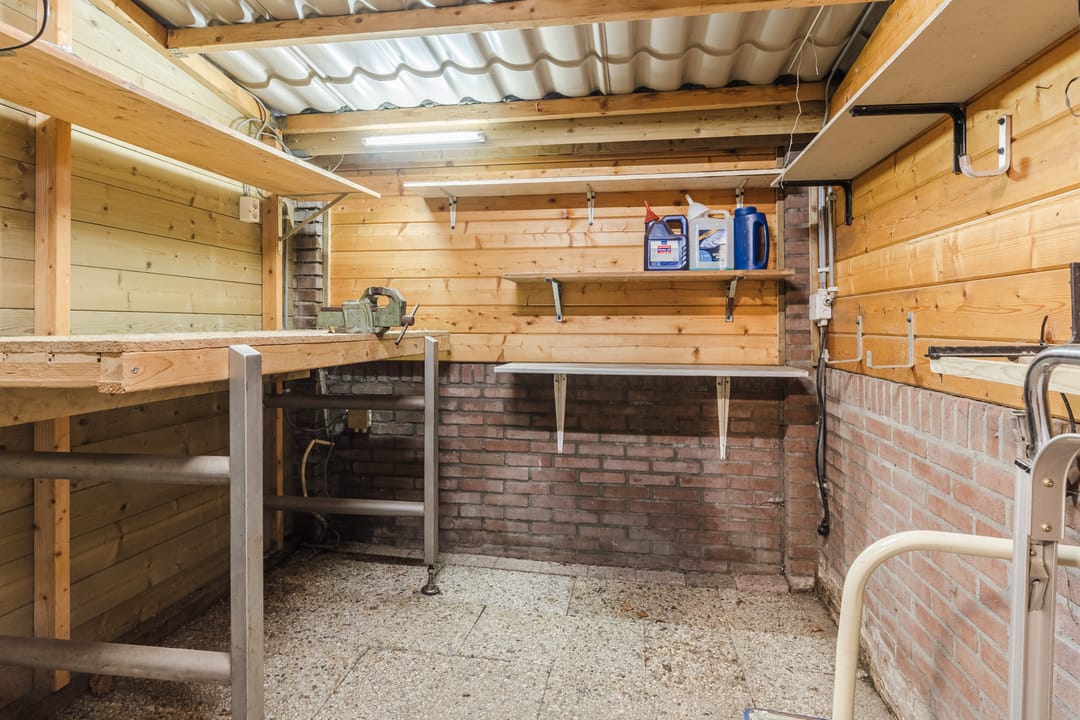 Photo 31 of Honingklaver 1