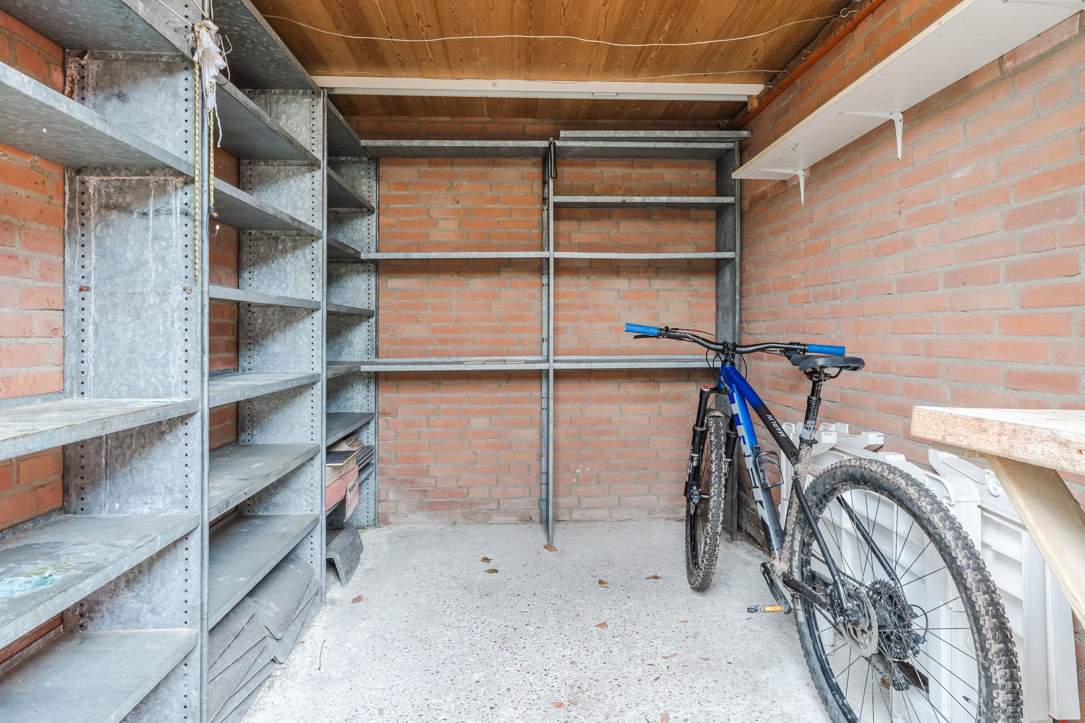 Photo 33 of Honingklaver 1