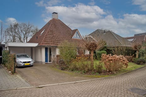 undefined main image