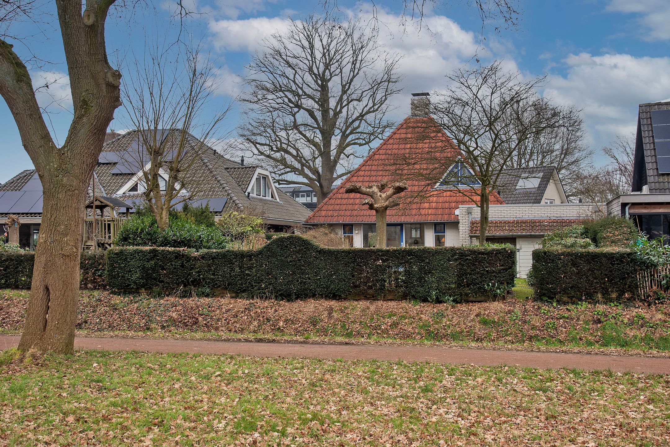 Foto 45 van Dalkruid 40