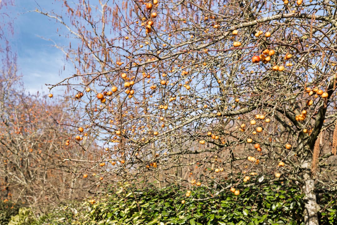 Foto 43 van Oostdorpseweg 47