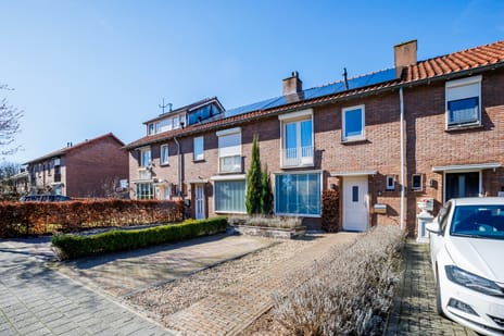 undefined main image