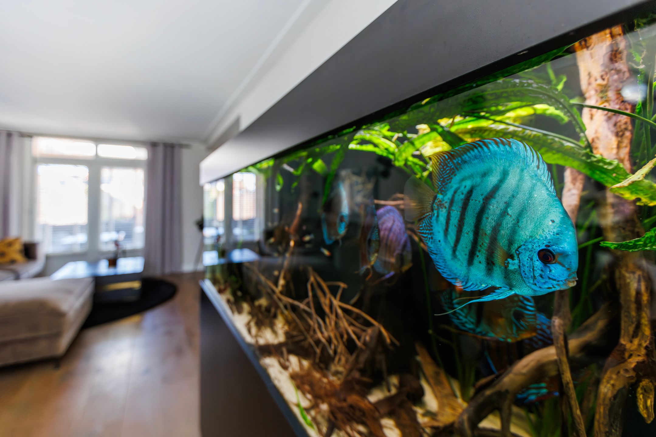 Foto 6 van van Enststraat 21