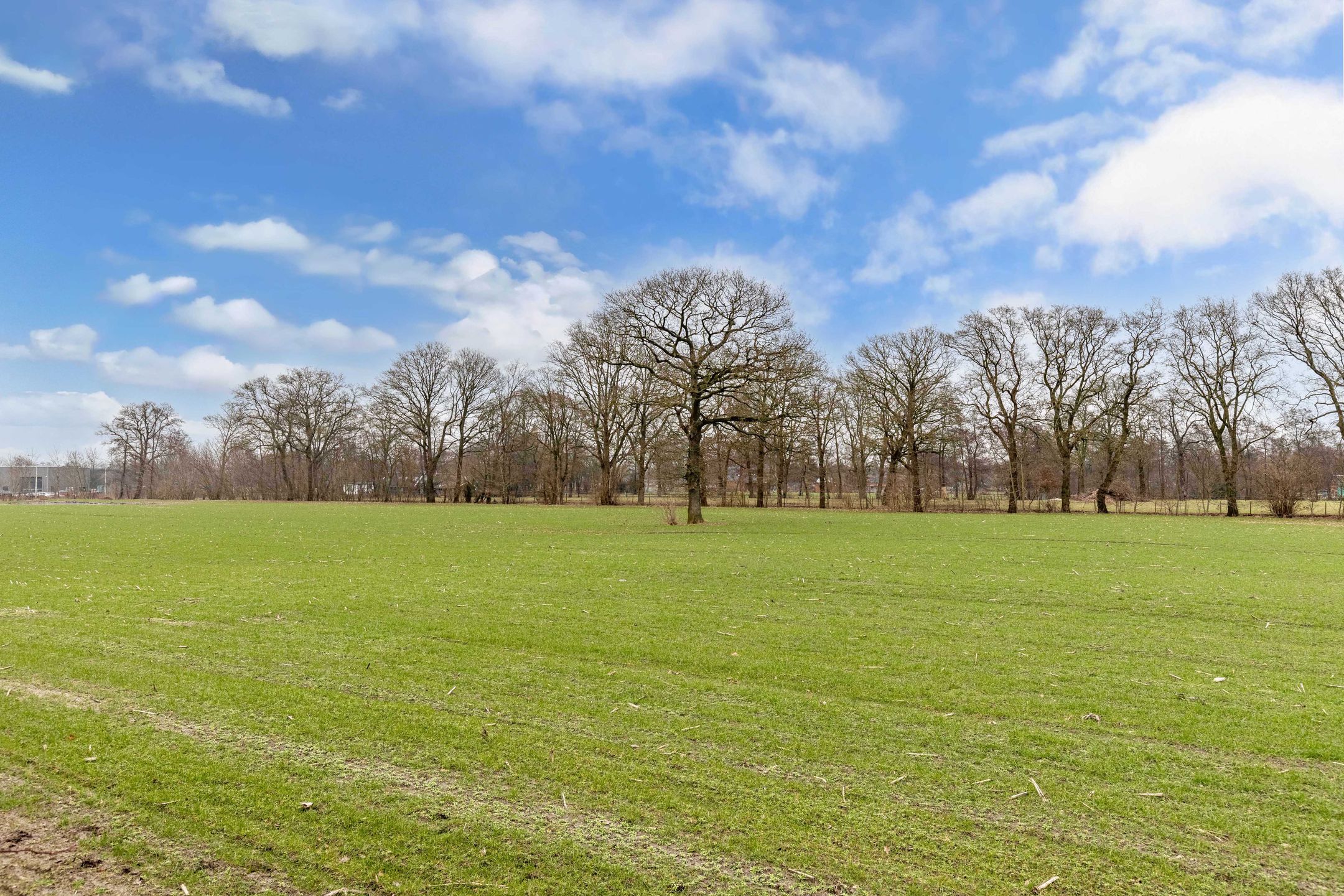 Foto 36 van Warreboslaan 29