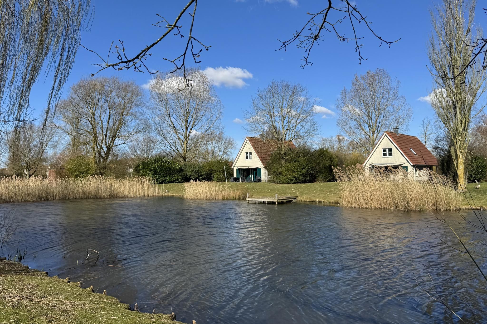 2-bedroom freehold villa in Emmen — photo 4 of 5