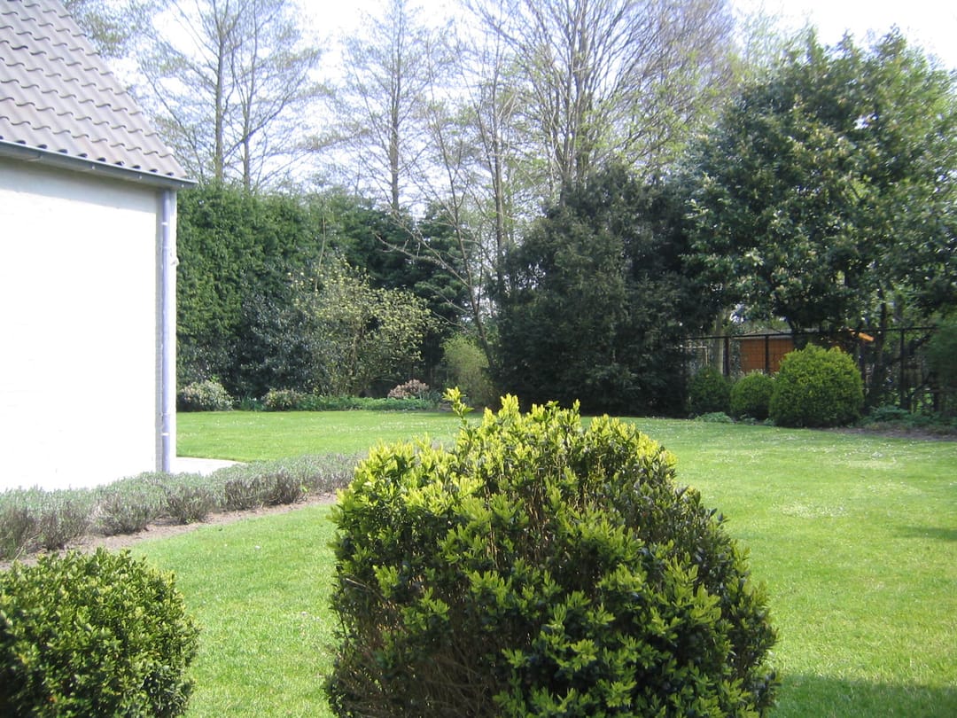 Foto 46 van Tilburgseweg 12-A