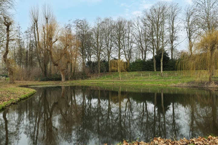 Foto 5 van Willem-Alexanderplantsoen 208