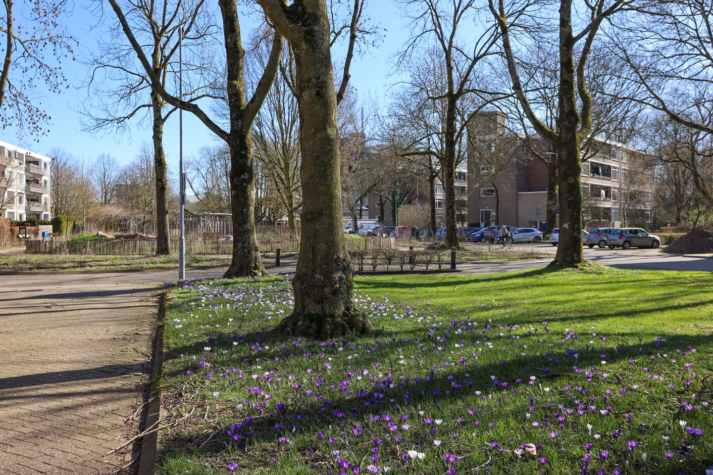 Foto 4 van Thorbeckestraat 496