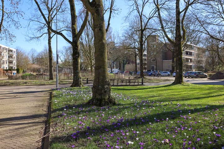 Photo 4 of Thorbeckestraat 496