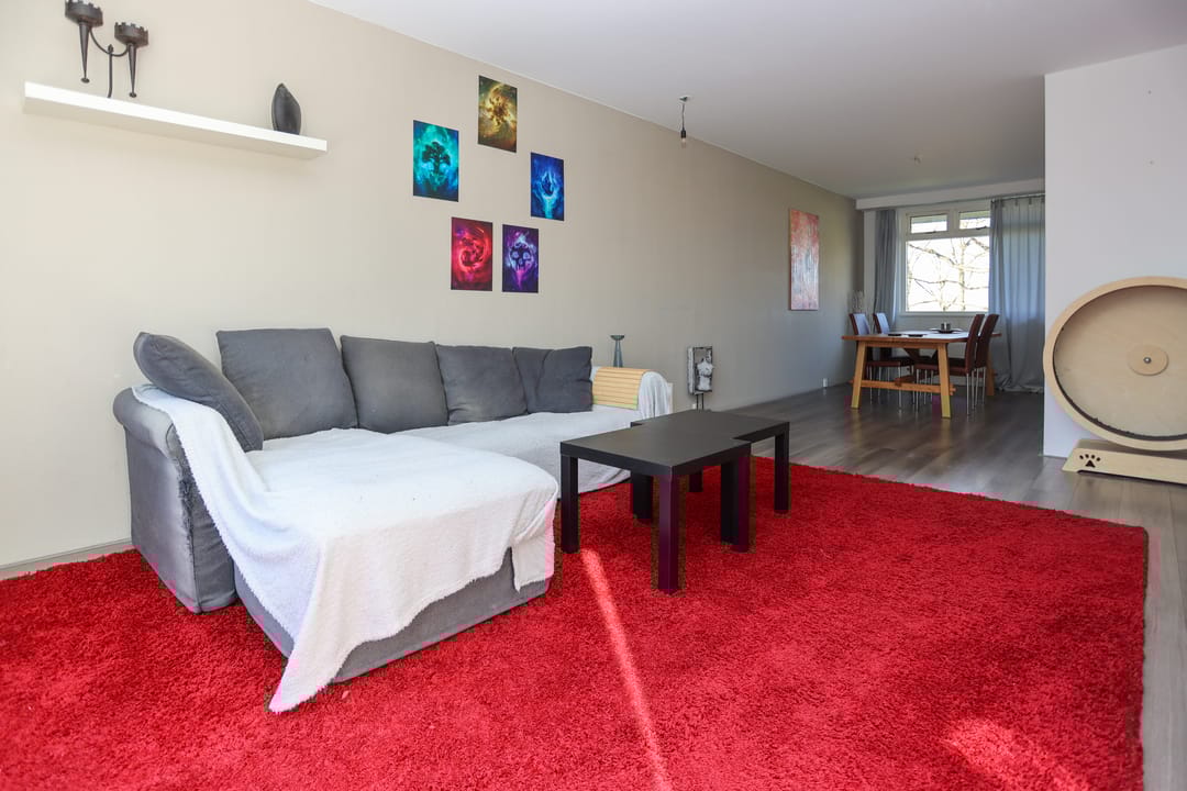 Foto 11 van Thorbeckestraat 496