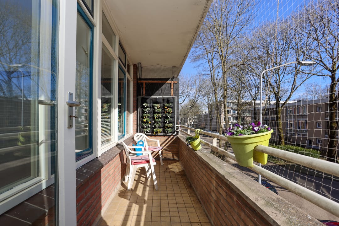 Foto 23 van Thorbeckestraat 496