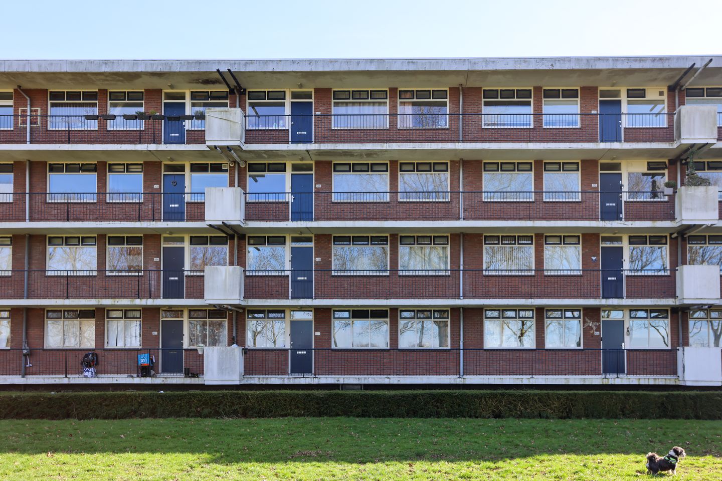 Photo 1 of Thorbeckestraat 496