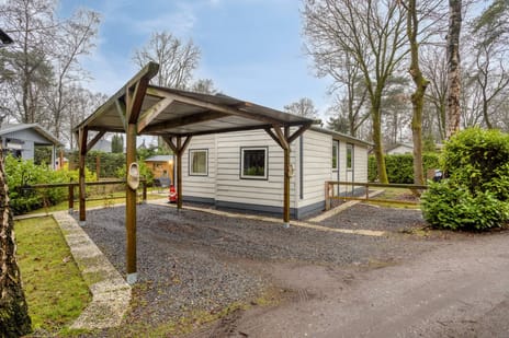 Kievit 12 b 253 thumbnail