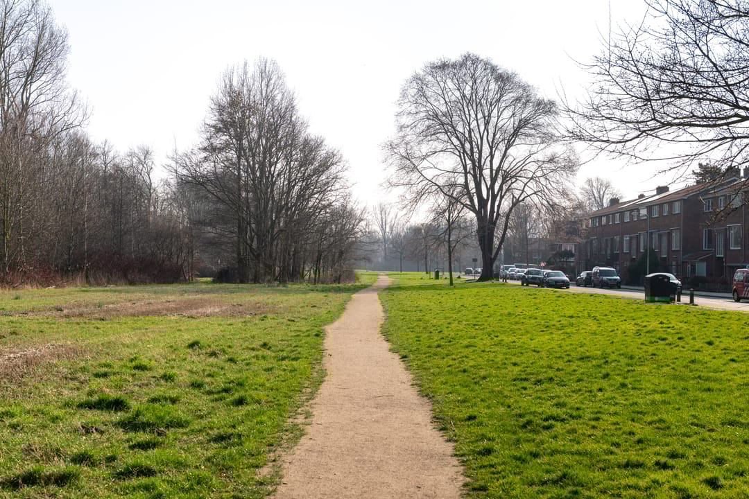 Foto 23 van Wijkeroogstraat 84