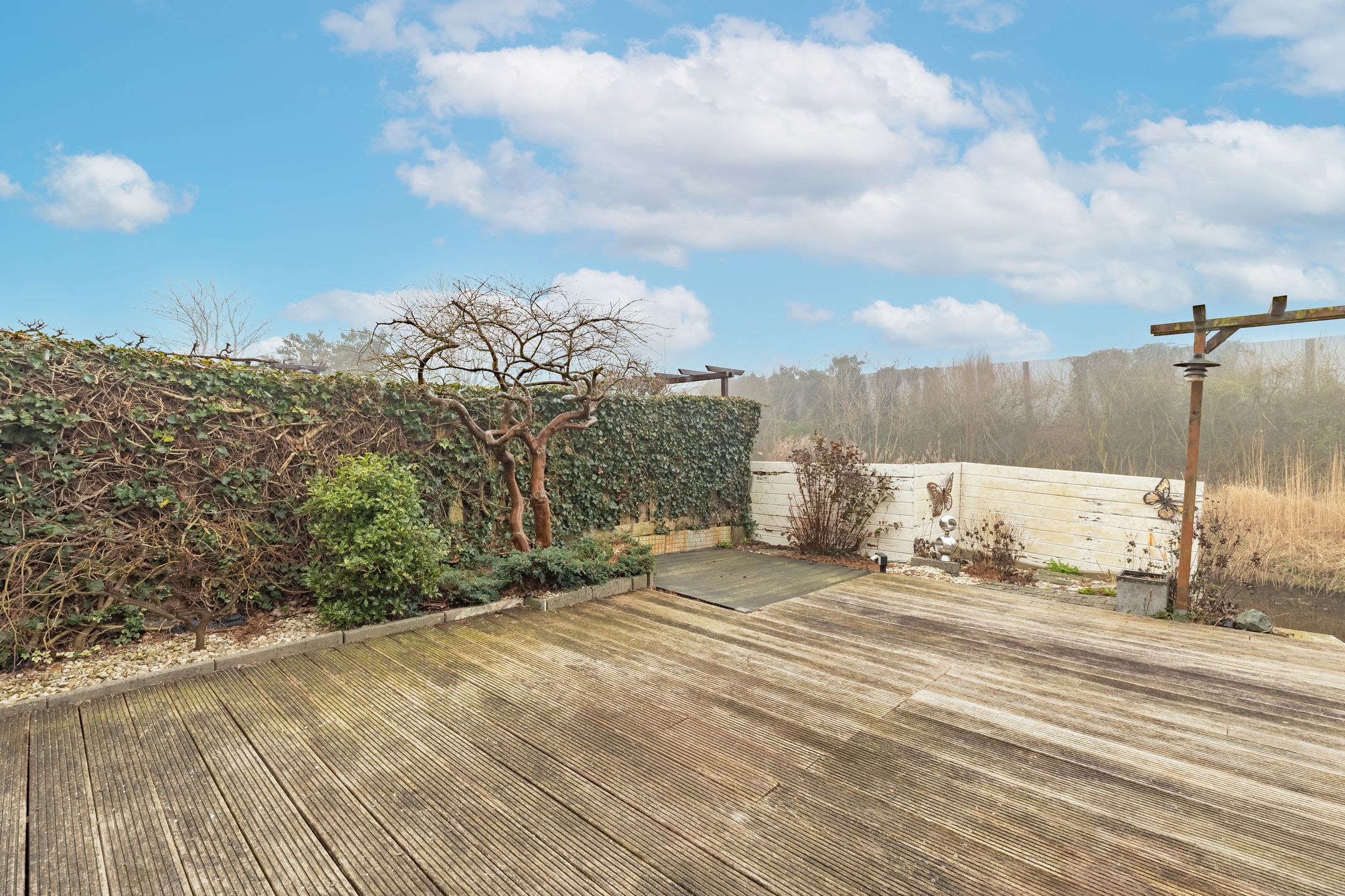 Photo 39 of Pallasstraat 2