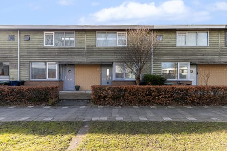 Hollywoodlaan thumbnail