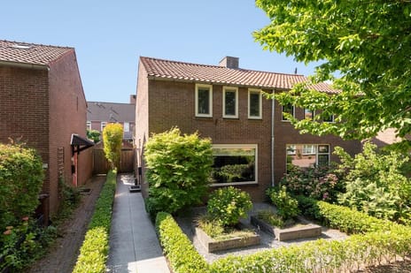 undefined main image