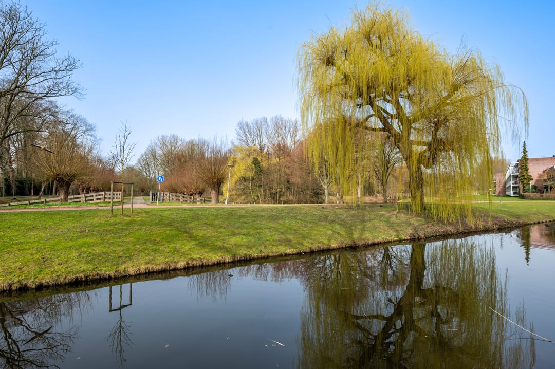 Foto 67 van Burgemeester Beelaertspark 114