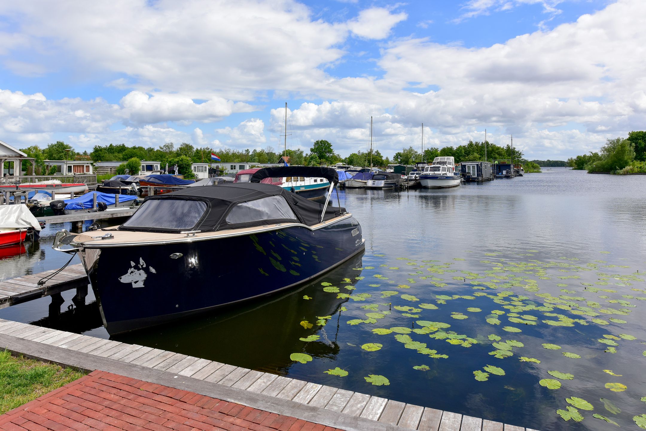 Photo 39 of Dammerweg 81