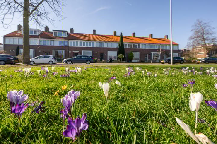 Prinses Christinalaan 187