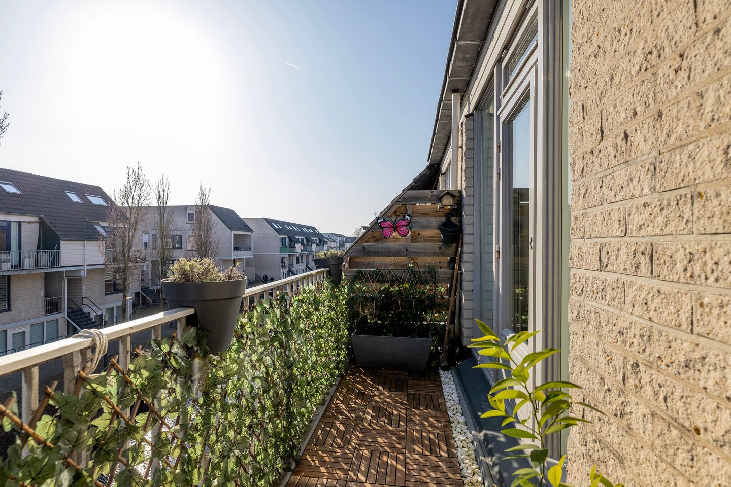 Foto 34 van Floris Burgwal 59