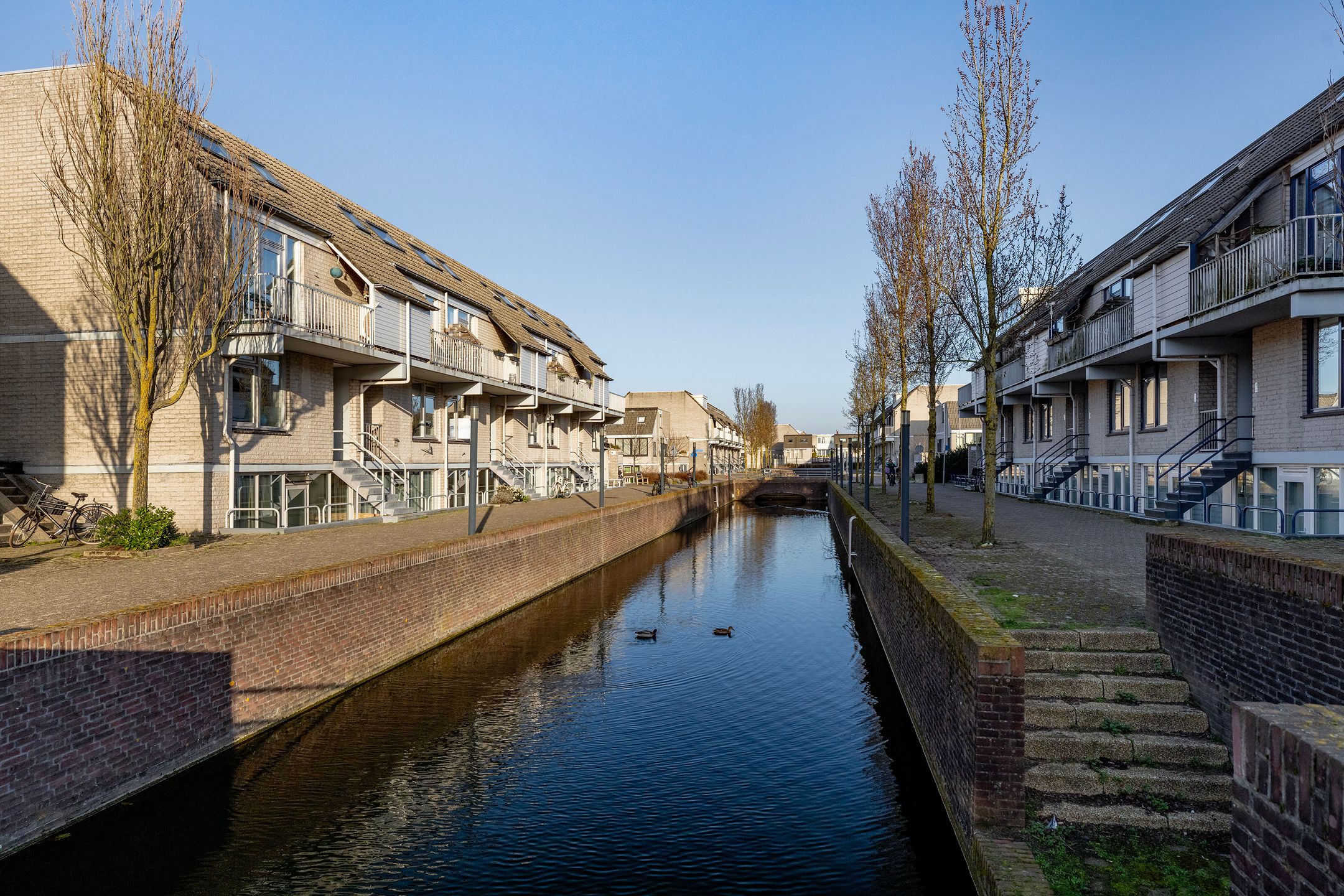 Foto 45 van Floris Burgwal 59