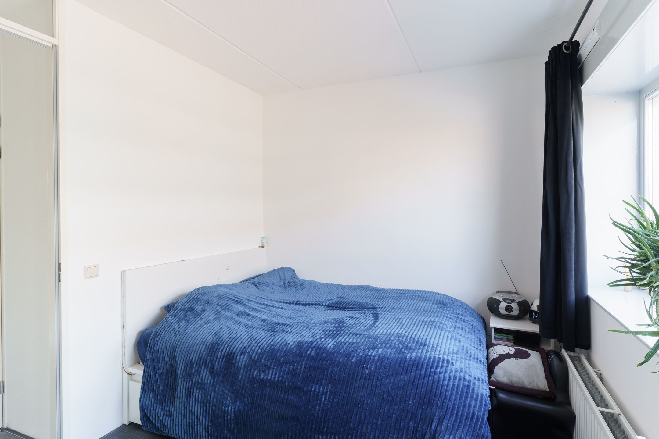 Photo 18 of Breedkapper 25