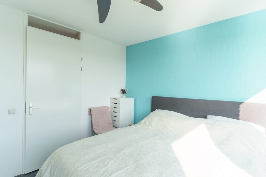 Photo 22 of Breedkapper 25