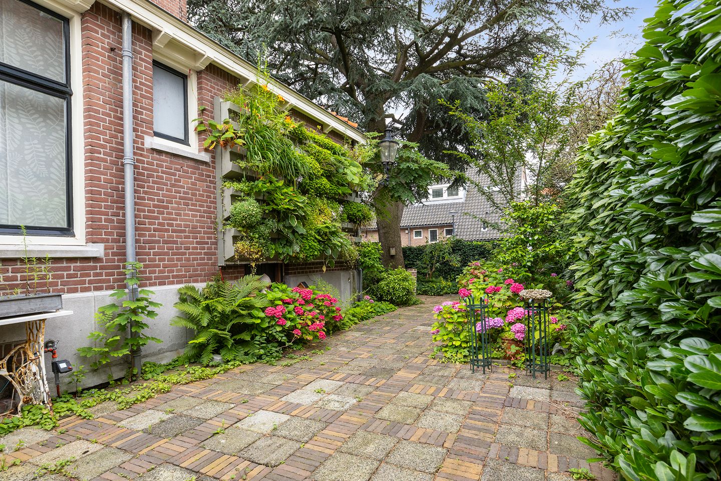 Photo 29 of Burgemeester Knappertlaan 30